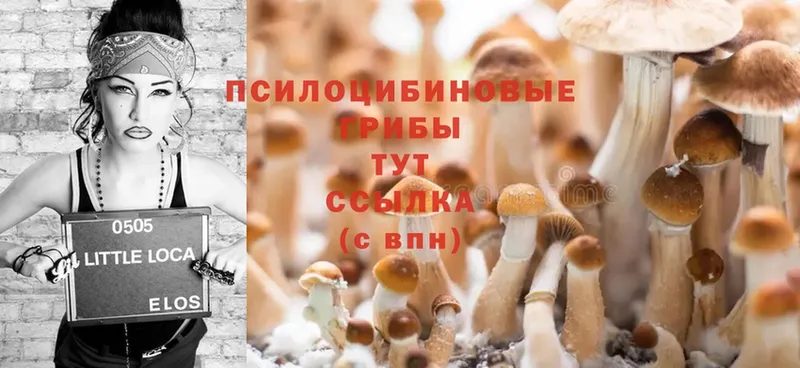 где купить наркоту  Новоуральск  Галлюциногенные грибы MAGIC MUSHROOMS 